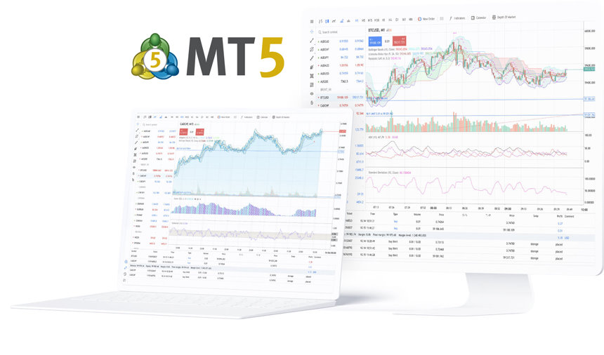 MetaTrader 5 交易信号与网页终端界面